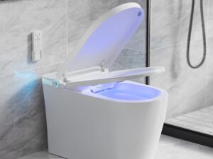 WC intelligente con bidet integrato Vipbear
